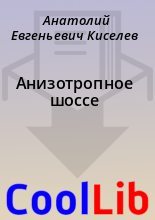 Книга - Анатолий Евгеньевич Киселев - Анизотропное шоссе (fb2) читать без регистрации