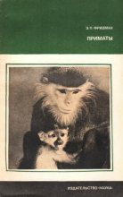 Книга - Эман Петрович Фридман - Приматы (fb2) читать без регистрации