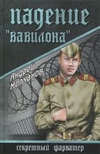 Книга - Андрей Алексеевич Молчанов - Падение «Вавилона» (fb2) читать без регистрации