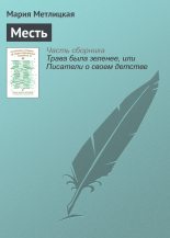 Книга - Мария  Метлицкая - Месть (fb2) читать без регистрации