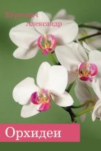 Книга - Александр  Курлович - Орхидеи (fb2) читать без регистрации