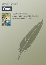 Книга - Виталий Валентинович Бианки - Сова (fb2) читать без регистрации