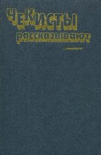 Книга - Владимир Владимирович Востоков - Поединок (fb2) читать без регистрации