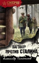 Книга - Александр Александрович Тамоников - Заговор против Сталина (fb2) читать без регистрации