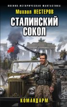 Книга - Михаил Альбертович Нестеров - Командарм (fb2) читать без регистрации