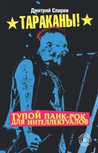 Книга - Дмитрий  Спирин - Тупой панк-рок для интеллектуалов (fb2) читать без регистрации