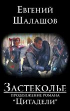 Книга - Евгений Васильевич Шалашов - Застеколье (fb2) читать без регистрации