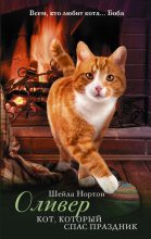 Книга - Шейла  Нортон - Оливер. Кот, который спас праздник (fb2) читать без регистрации