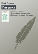 Книга - Юрий Михайлович Поляков - Пцыроха (fb2) читать без регистрации