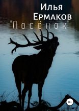 Книга - Илья Сергеевич Ермаков - «Лосёнок» (fb2) читать без регистрации