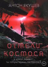 Книга - Антон  Якушев - Отмели космоса (fb2) читать без регистрации