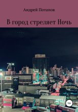 Книга - Андрей  Потапов - В город стреляет Ночь (fb2) читать без регистрации