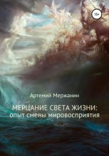 Книга - Артемий  Мержанин - Мерцание света жизни: опыт смены мировосприятия (fb2) читать без регистрации
