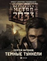 Книга - Сергей Валентинович Антонов - Метро 2033: Тёмные туннели (fb2) читать без регистрации