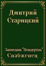 Книга - Дмитрий  Старицкий - Снабженец (fb2) читать без регистрации