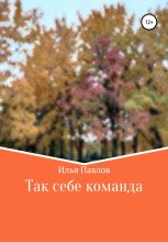 Книга - Илья Германович Павлов - Так себе команда (fb2) читать без регистрации