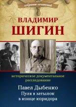 Книга - Владимир Виленович Шигин - Павел Дыбенко (fb2) читать без регистрации