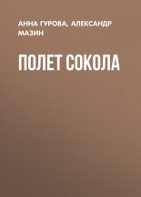 Книга - Анна Евгеньевна Гурова - Полет сокола (fb2) читать без регистрации