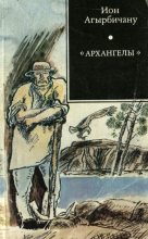 Книга - Ион  Агырбичану - «Архангелы» (fb2) читать без регистрации