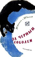 Книга - Владимир Иванович Клипель - За черным соболем (fb2) читать без регистрации
