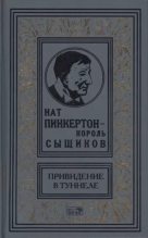 Книга - Антон  Лanyдев - Нат Пинкертон — король сыщиков (fb2) читать без регистрации