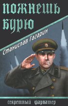 Книга - Станислав Семенович Гагарин - Пожнешь бурю (fb2) читать без регистрации