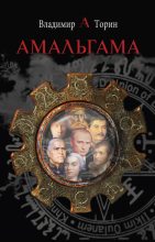 Книга - Владимир Александрович Торин - Амальгама (fb2) читать без регистрации
