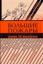 Книга - Вениамин Александрович Каверин - Большие пожары (fb2) читать без регистрации