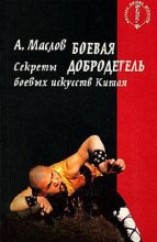 Книга - Алексей Александрович Маслов - Боевая добродетель. Секреты боевых искусств Китая (fb2) читать без регистрации