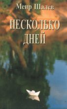 Книга - Меир  Шалев - Несколько дней (fb2) читать без регистрации