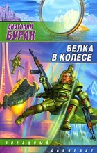 Книга - Анатолий  Бурак - Белка в колесе (fb2) читать без регистрации