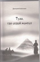 Книга - Дмитрий Александрович Ахметшин - Туда, где седой монгол (fb2) читать без регистрации