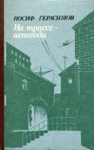 Книга - Иосиф Абрамович Герасимов - На трассе — непогода (fb2) читать без регистрации