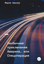 Книга - Мария Александровна Ашкова - Необычные приключения Аверина, или Спецоперация (fb2) читать без регистрации