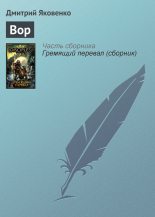 Книга - Дмитрий П. Яковенко - Вор (fb2) читать без регистрации