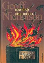 Книга - Джефф  Николсон - Бедлам в огне (fb2) читать без регистрации