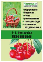 Книга - Р. Г. Ноздрачева - Вишня (fb2) читать без регистрации