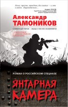 Книга - Александр Александрович Тамоников - Янтарная камера (fb2) читать без регистрации