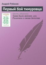 Книга - Андрей Викторович Рубанов - Первый бой тимуровца (fb2) читать без регистрации