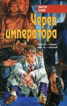 Книга - Виктор  Банев - Череп императора (fb2) читать без регистрации