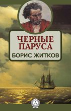 Книга - Борис Степанович Житков - Черные паруса (fb2) читать без регистрации
