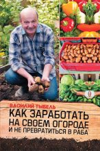 Книга - Василий Васильевич Тыбель - Как заработать на своем огороде и не превратиться в раба (fb2) читать без регистрации