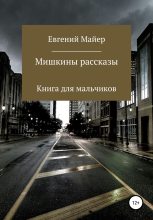 Книга - Евгений  Майер - Мишкины рассказы (fb2) читать без регистрации