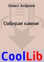 Книга - Павел  Андреев - Собирая камни (fb2) читать без регистрации