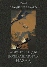 Книга - Владимир Николаевич Владко - Аэроторпеды возвращаются назад (fb2) читать без регистрации
