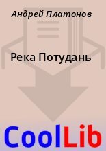 Книга - Андрей  Платонов - Река Потудань (fb2) читать без регистрации