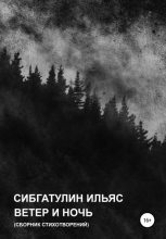 Книга - Ильяс  Сибгатулин - Ветер и ночь (fb2) читать без регистрации