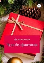Книга - Дария  Акимова - Чудо без фантиков (fb2) читать без регистрации