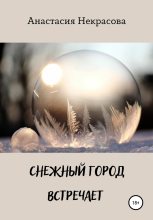 Книга - Анастасия  Некрасова - Снежный город встречает (fb2) читать без регистрации