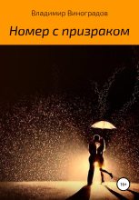 Книга - Владимир  Виноградов - Номер с призраком (fb2) читать без регистрации